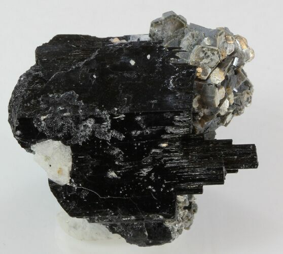 Schorl & Muscovite - Erongo Mountains #31897